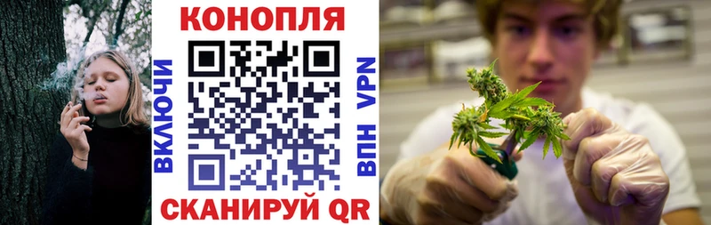 МАРИХУАНА SATIVA & INDICA  Купить закладки  Боровичи 